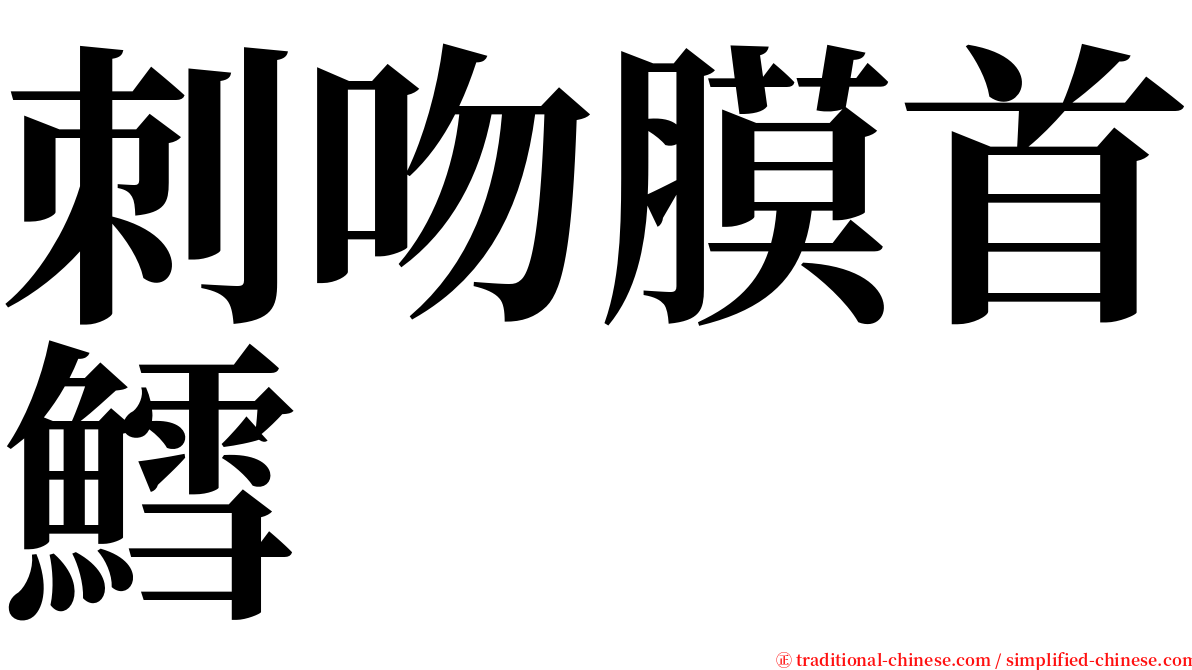 刺吻膜首鱈 serif font