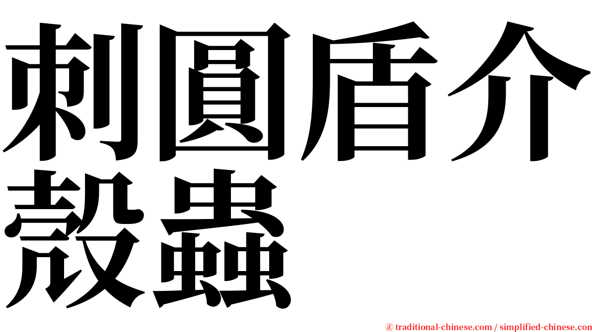 刺圓盾介殼蟲 serif font