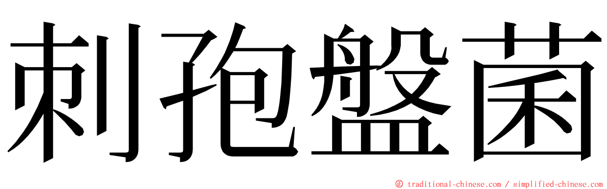 刺孢盤菌 ming font