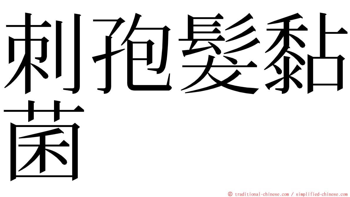 刺孢髮黏菌 ming font