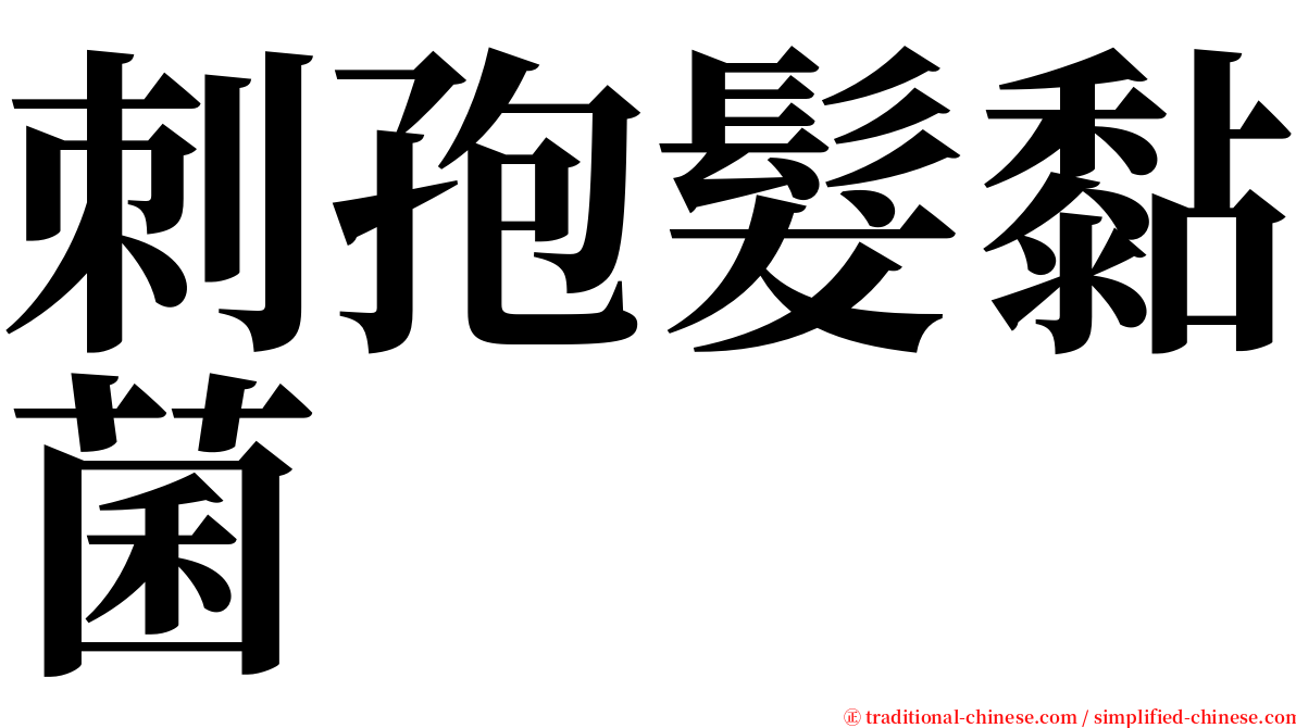 刺孢髮黏菌 serif font