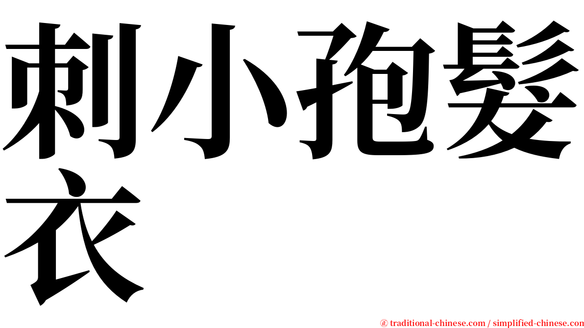 刺小孢髮衣 serif font