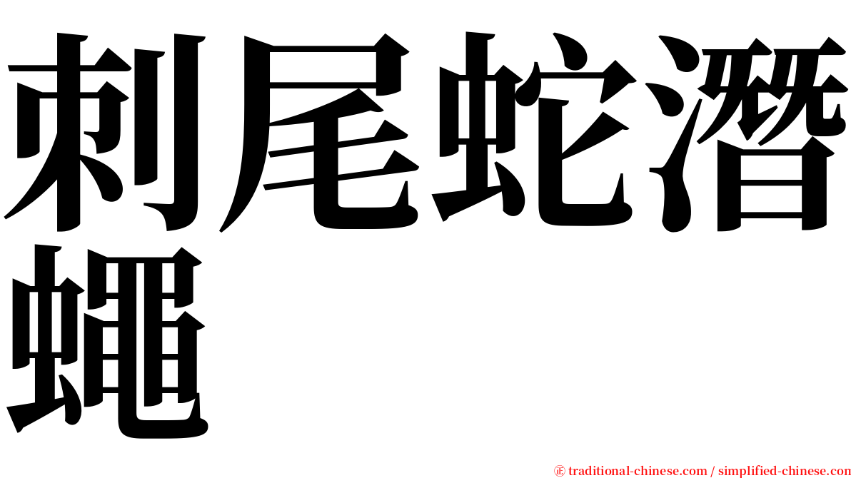 刺尾蛇潛蠅 serif font