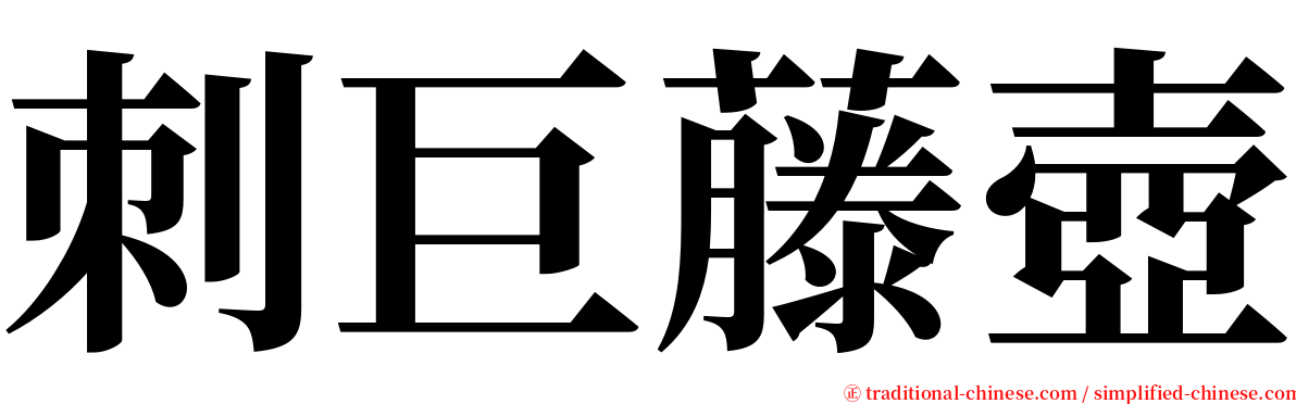 刺巨藤壺 serif font