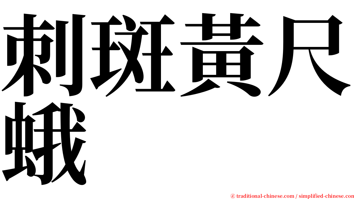 刺斑黃尺蛾 serif font