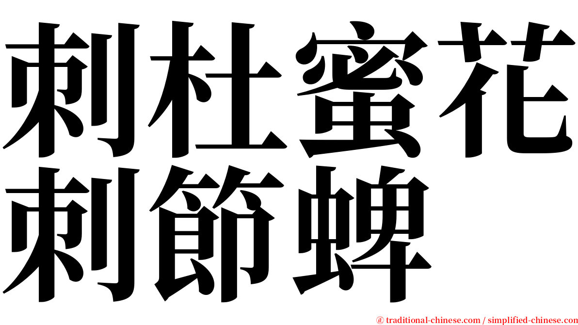 刺杜蜜花刺節蜱 serif font