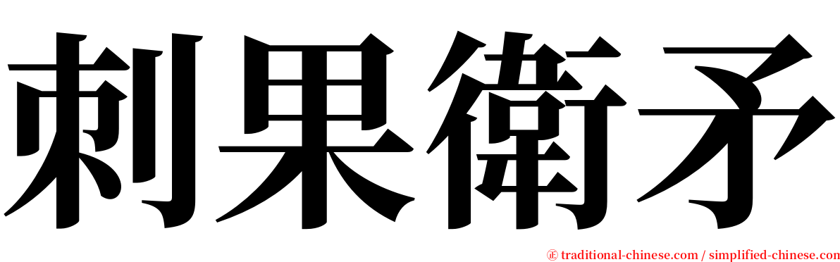 刺果衛矛 serif font