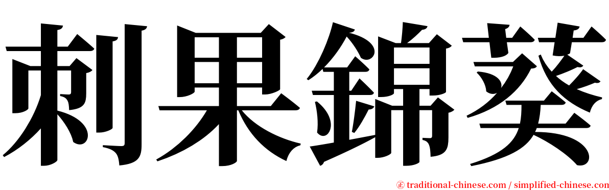 刺果錦葵 serif font