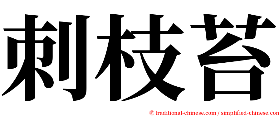 刺枝苔 serif font