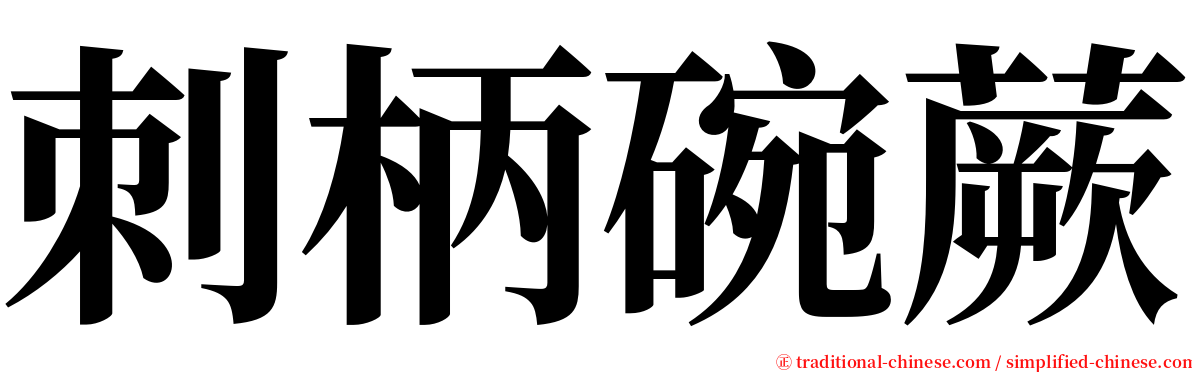 刺柄碗蕨 serif font