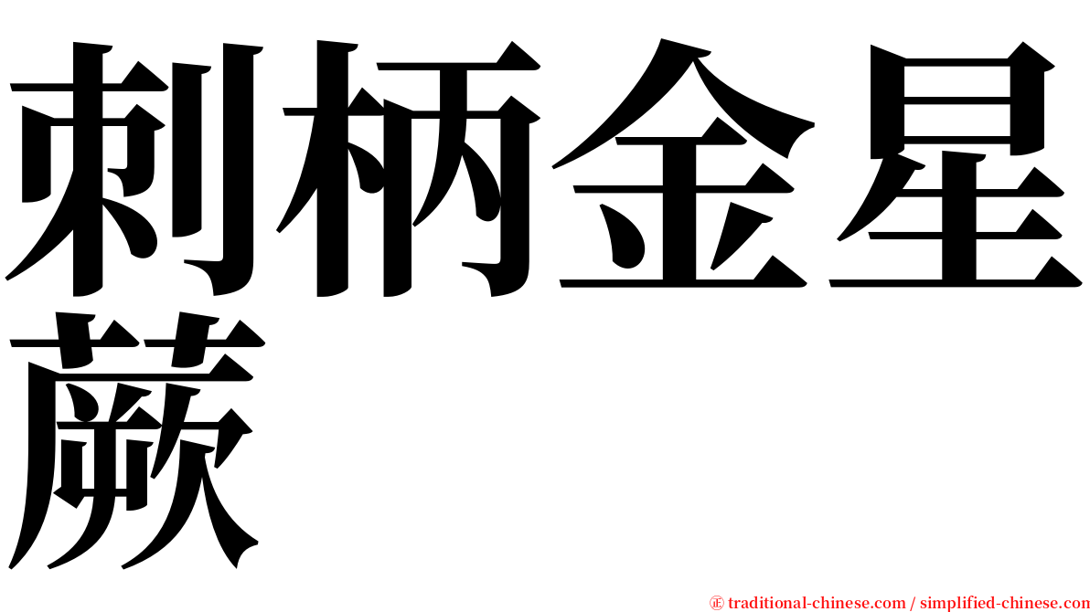 刺柄金星蕨 serif font