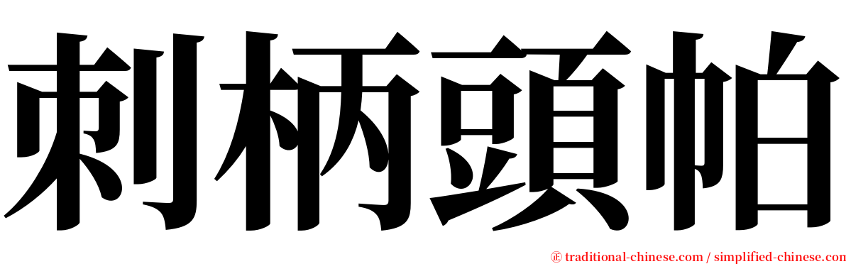 刺柄頭帕 serif font