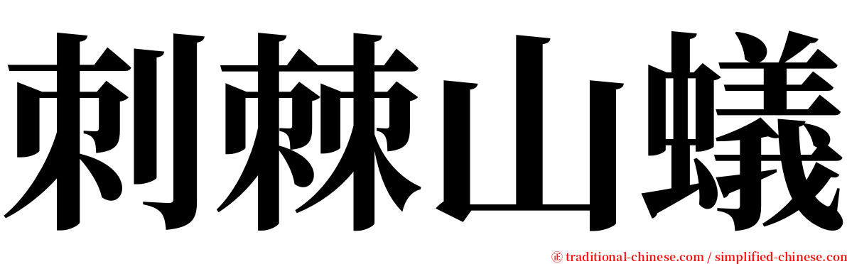 刺棘山蟻 serif font