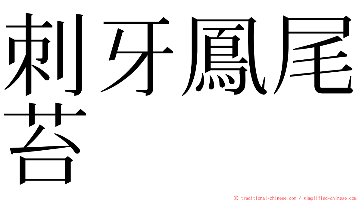 刺牙鳳尾苔 ming font