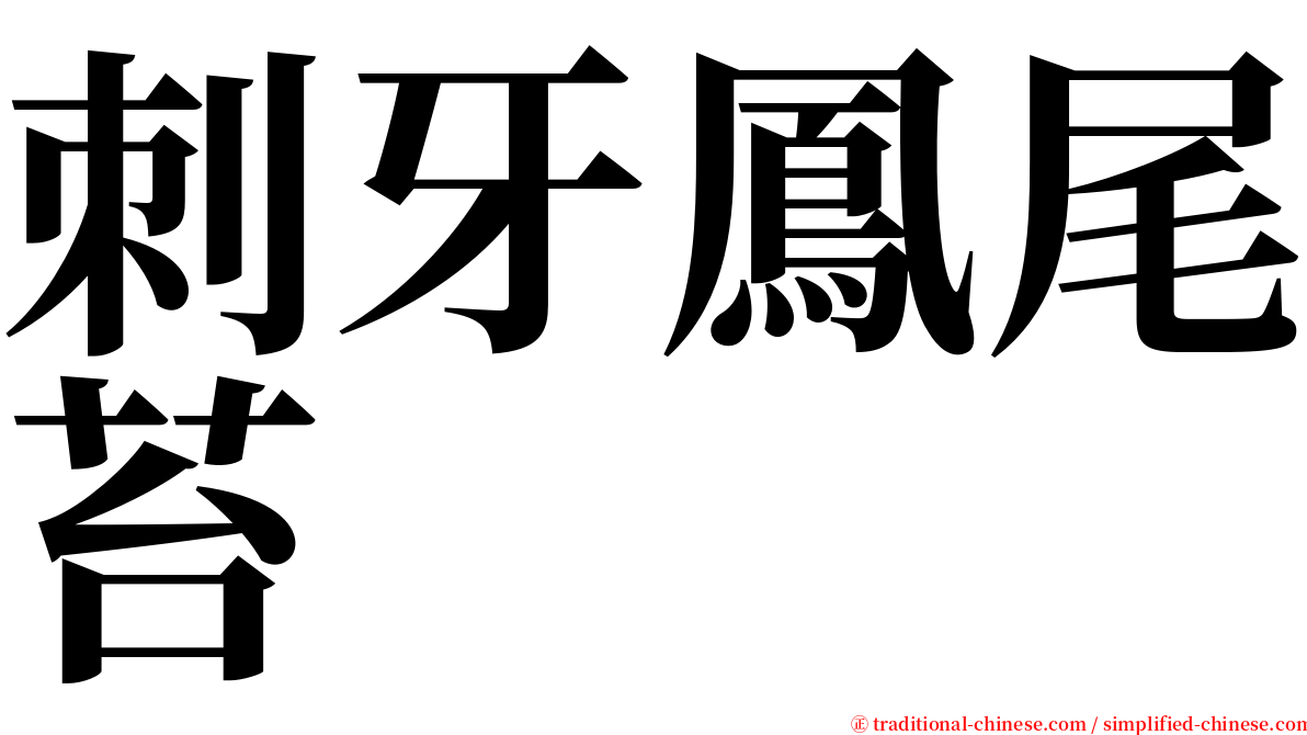 刺牙鳳尾苔 serif font