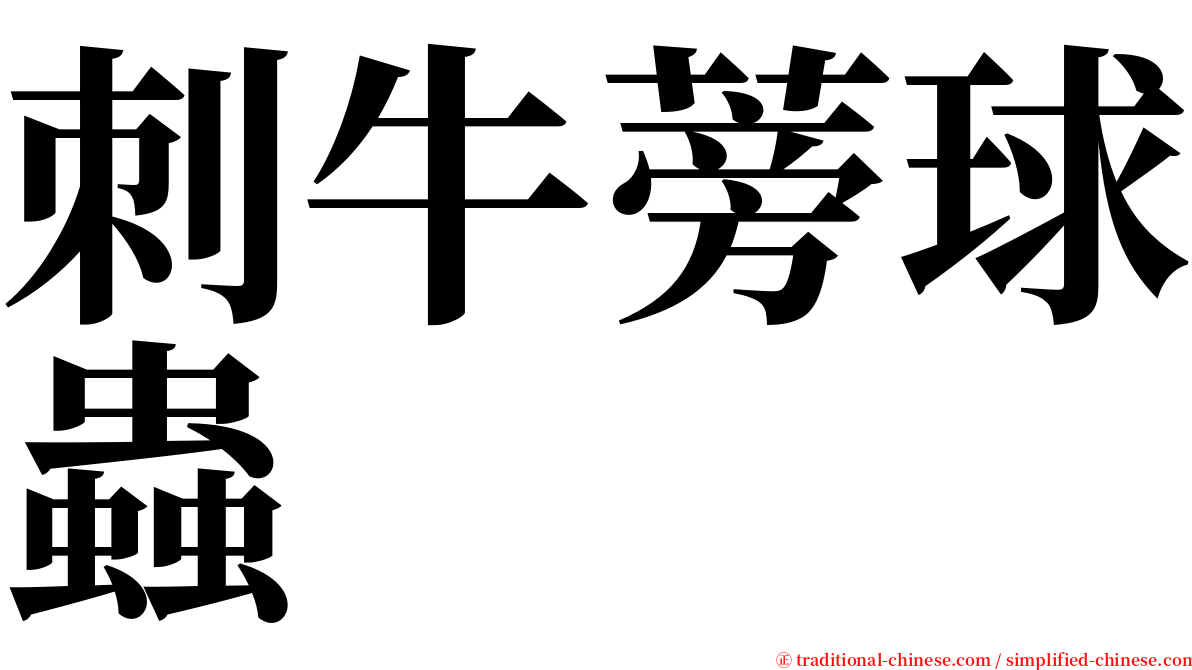 刺牛蒡球蟲 serif font