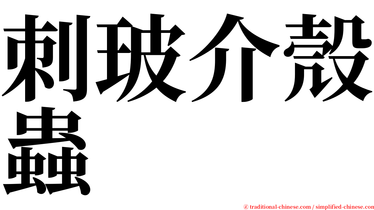 刺玻介殼蟲 serif font