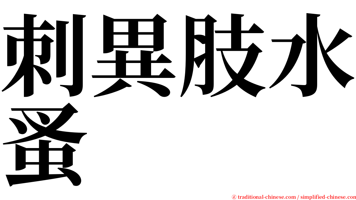 刺異肢水蚤 serif font