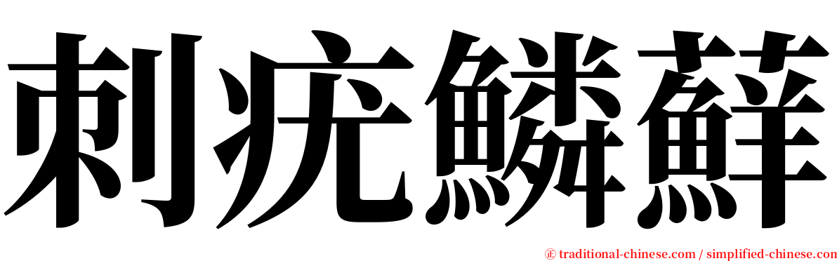 刺疣鱗蘚 serif font