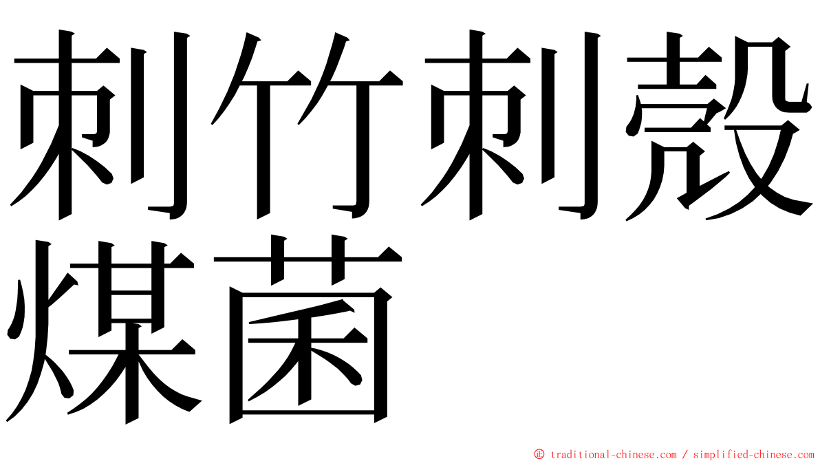 刺竹刺殼煤菌 ming font