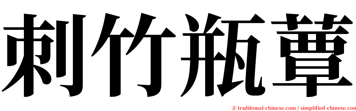 刺竹瓶蕈 serif font