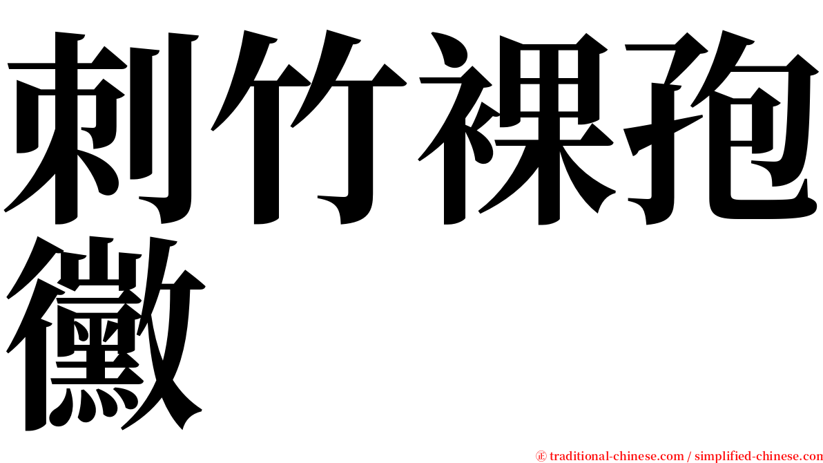 刺竹裸孢黴 serif font