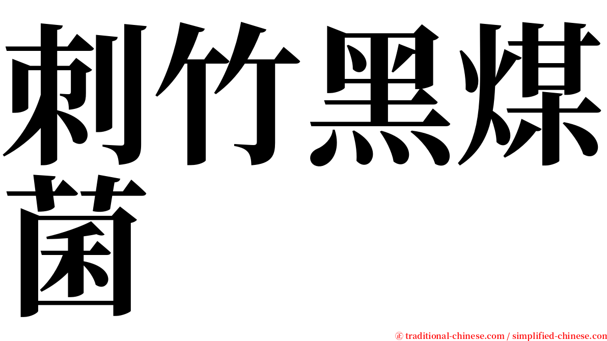 刺竹黑煤菌 serif font