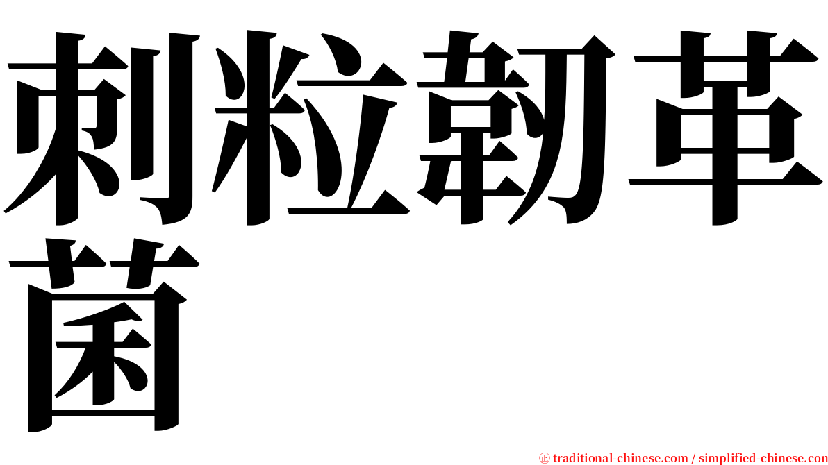 刺粒韌革菌 serif font