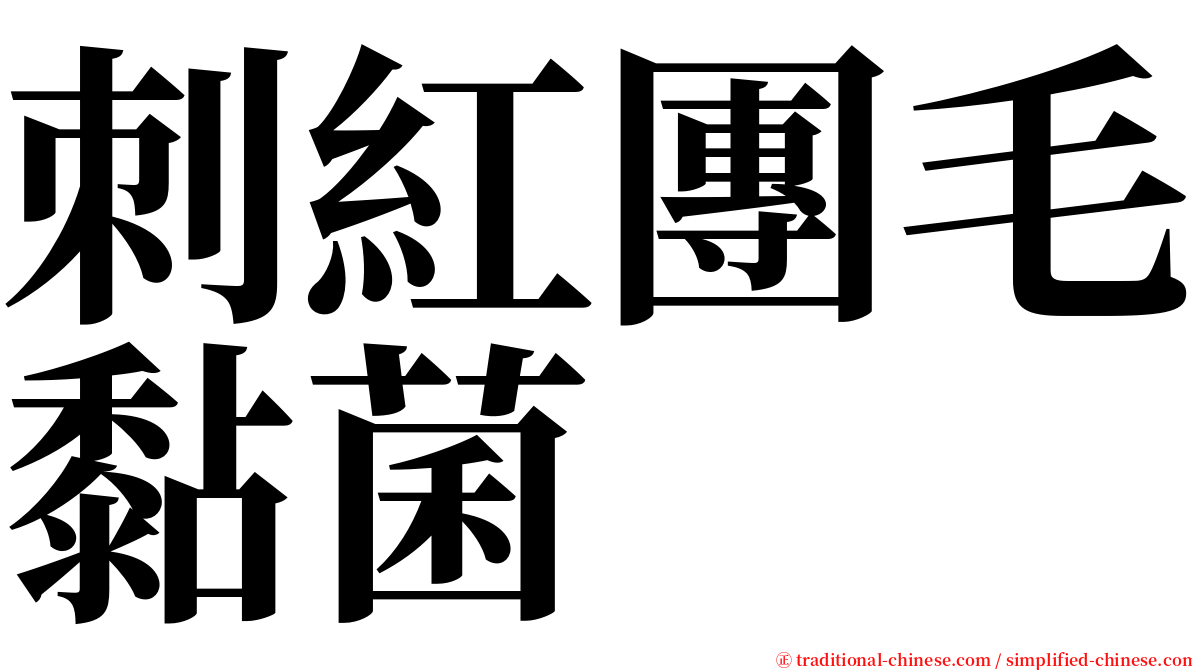 刺紅團毛黏菌 serif font