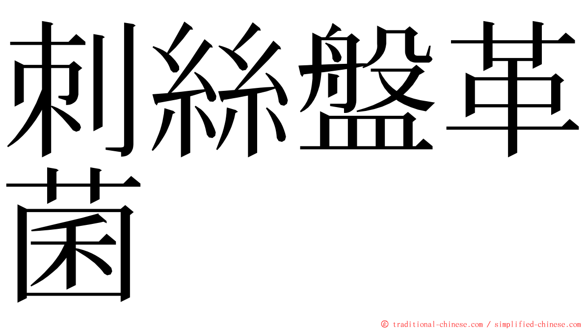 刺絲盤革菌 ming font