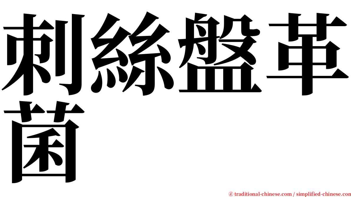 刺絲盤革菌 serif font