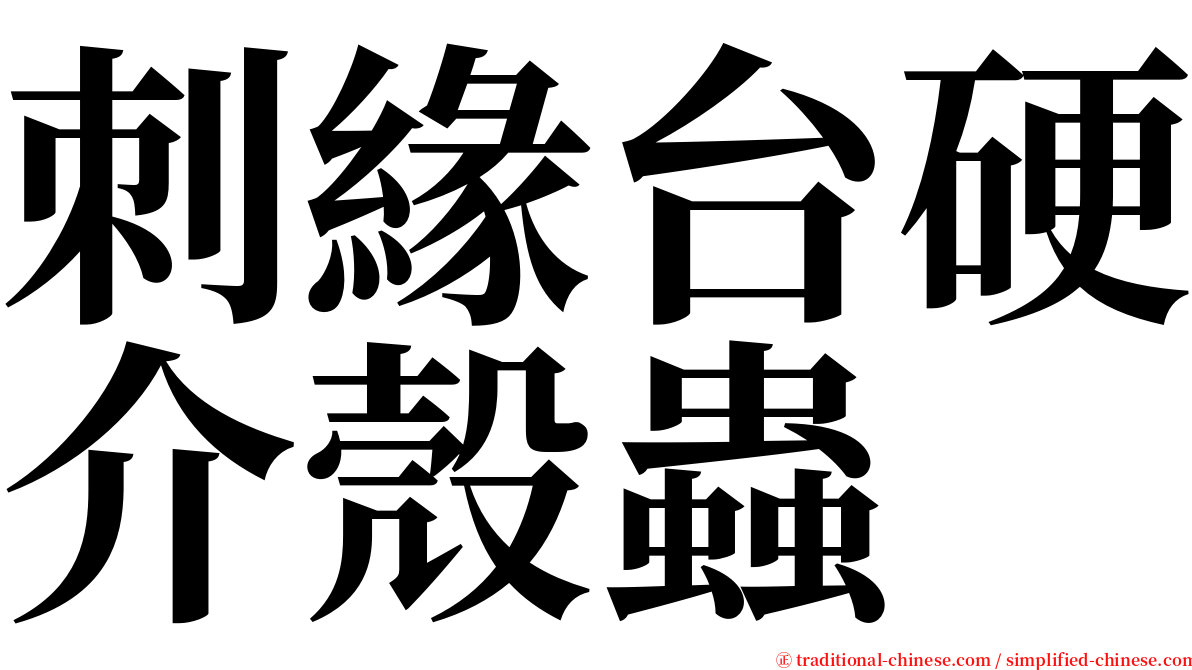 刺緣台硬介殼蟲 serif font