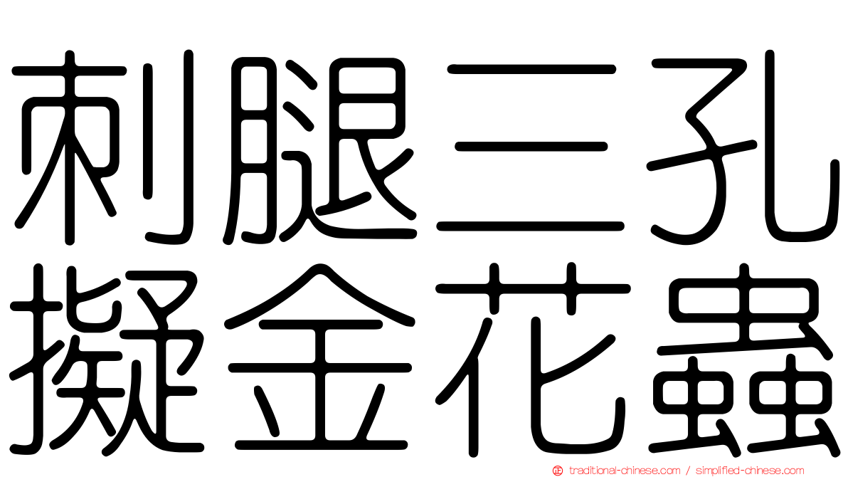 刺腿三孔擬金花蟲