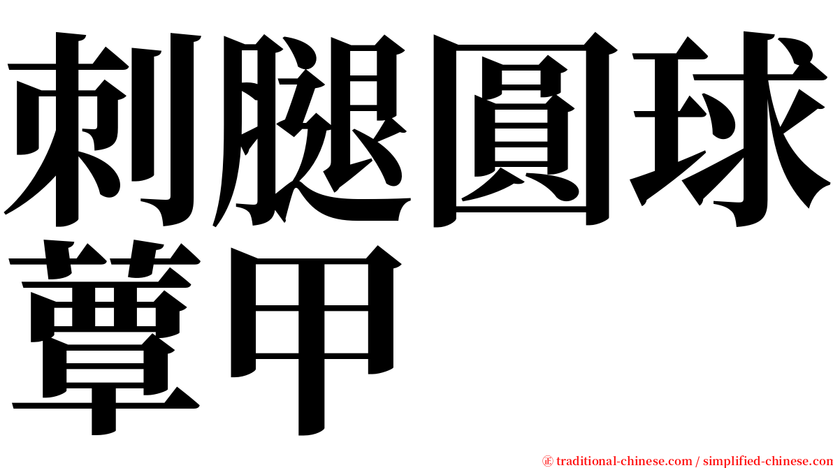 刺腿圓球蕈甲 serif font