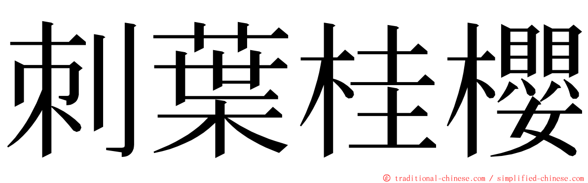 刺葉桂櫻 ming font