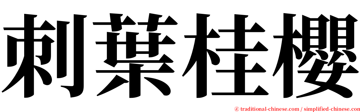 刺葉桂櫻 serif font