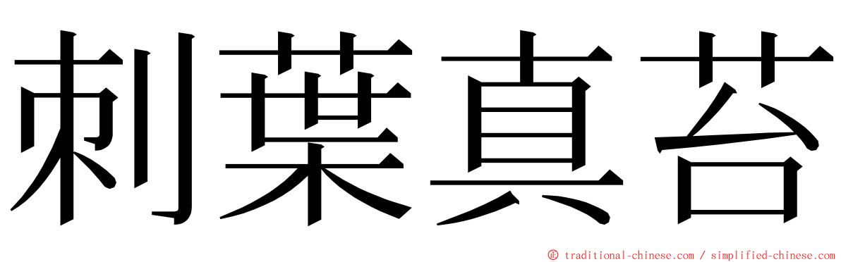 刺葉真苔 ming font