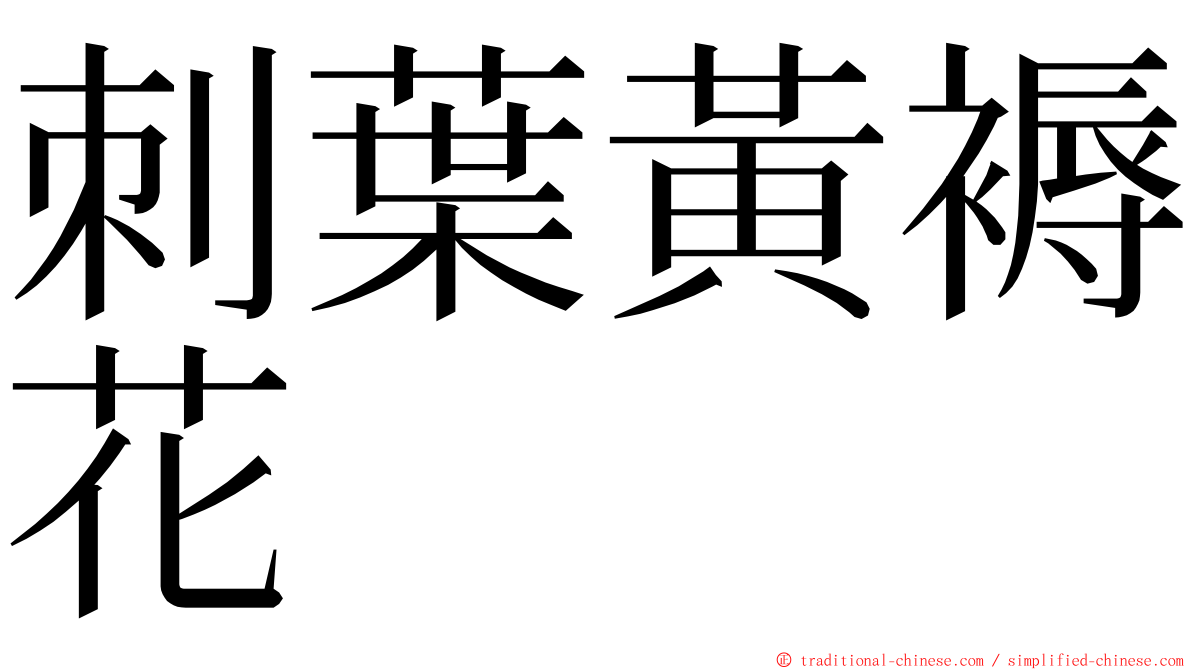 刺葉黃褥花 ming font