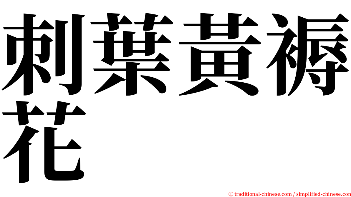 刺葉黃褥花 serif font