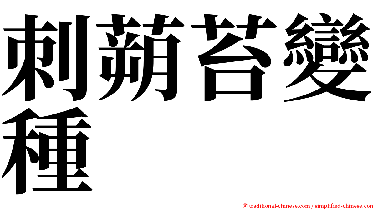 刺蒴苔變種 serif font