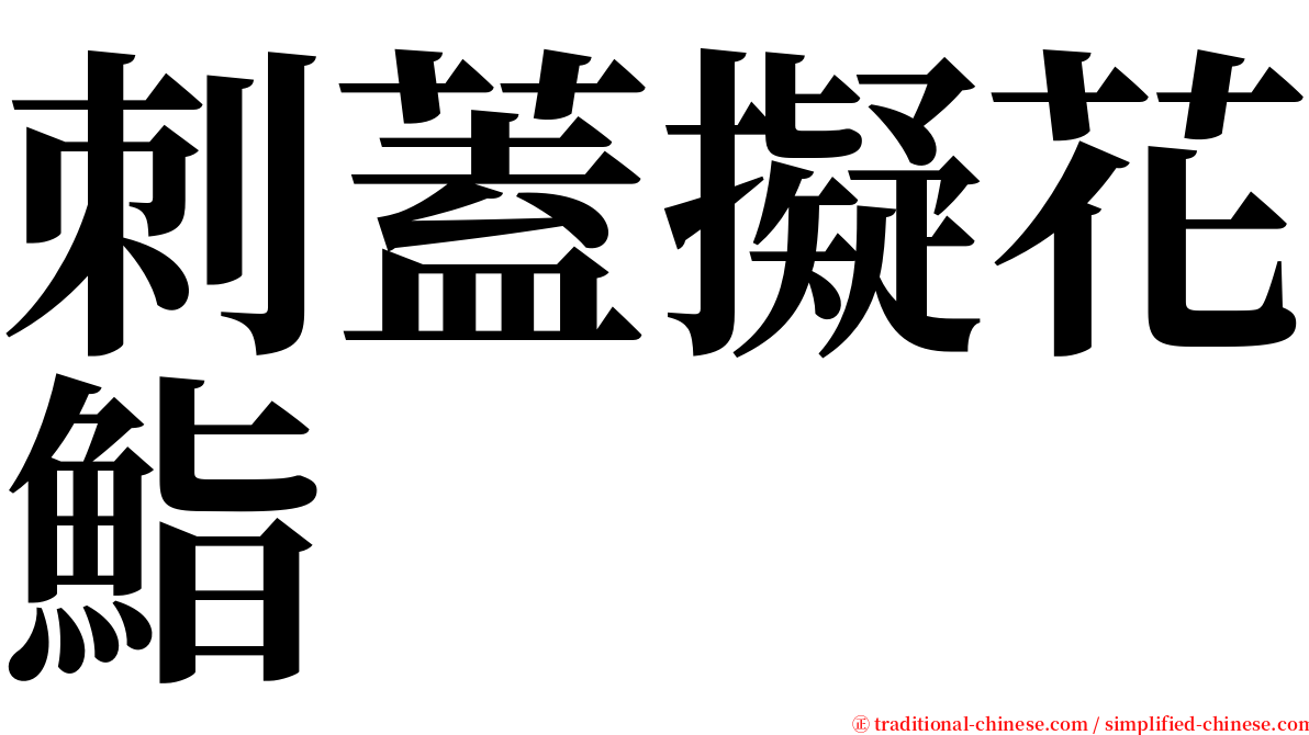刺蓋擬花鮨 serif font
