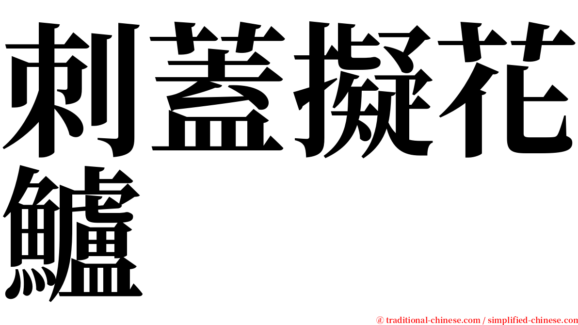 刺蓋擬花鱸 serif font