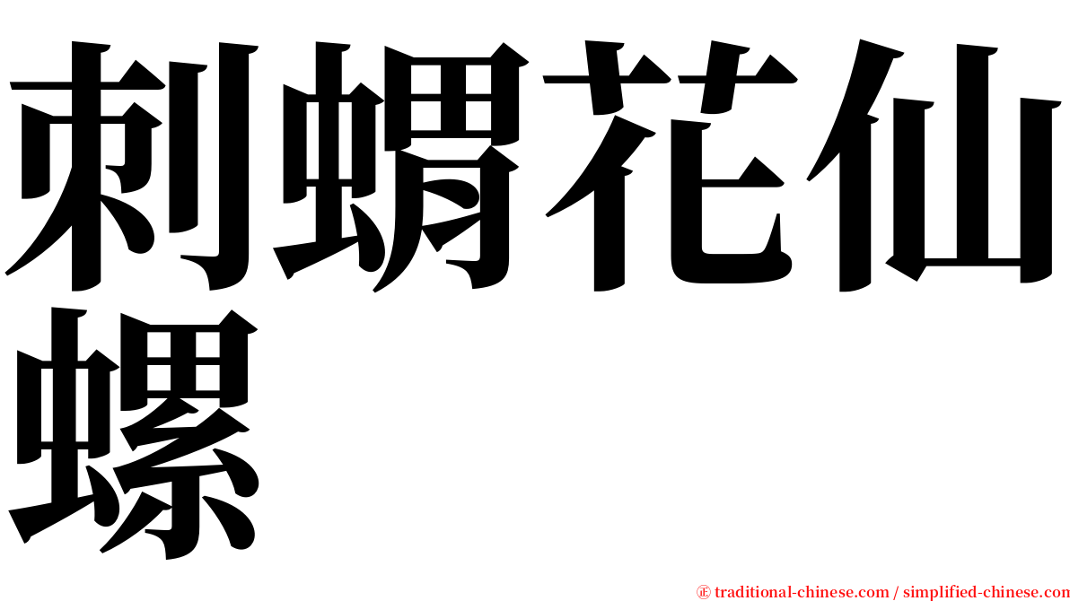 刺蝟花仙螺 serif font