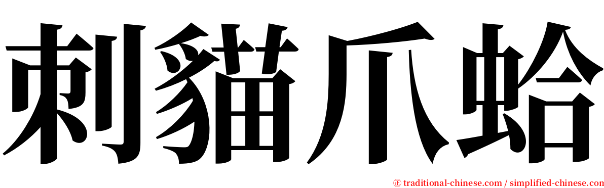 刺貓爪蛤 serif font