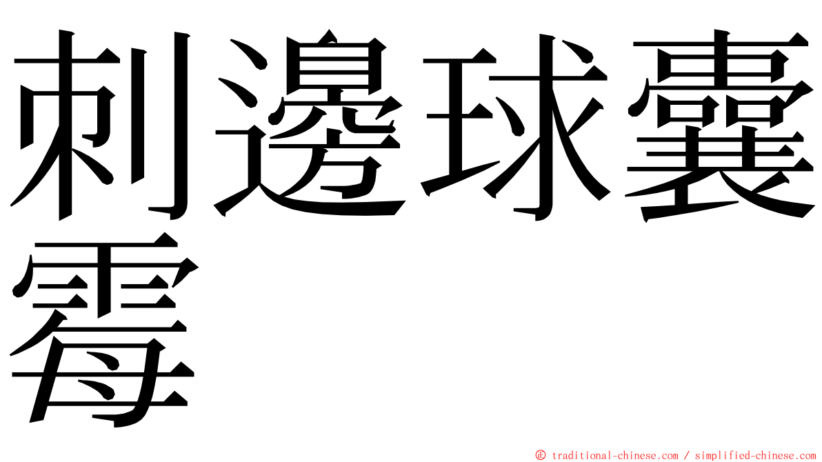 刺邊球囊霉 ming font