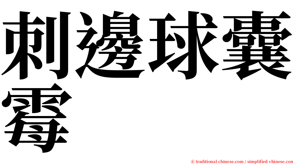 刺邊球囊霉 serif font