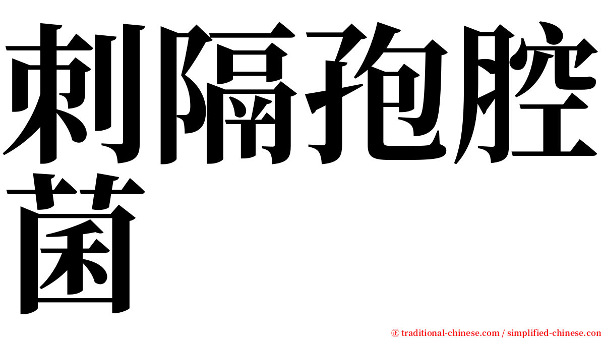 刺隔孢腔菌 serif font