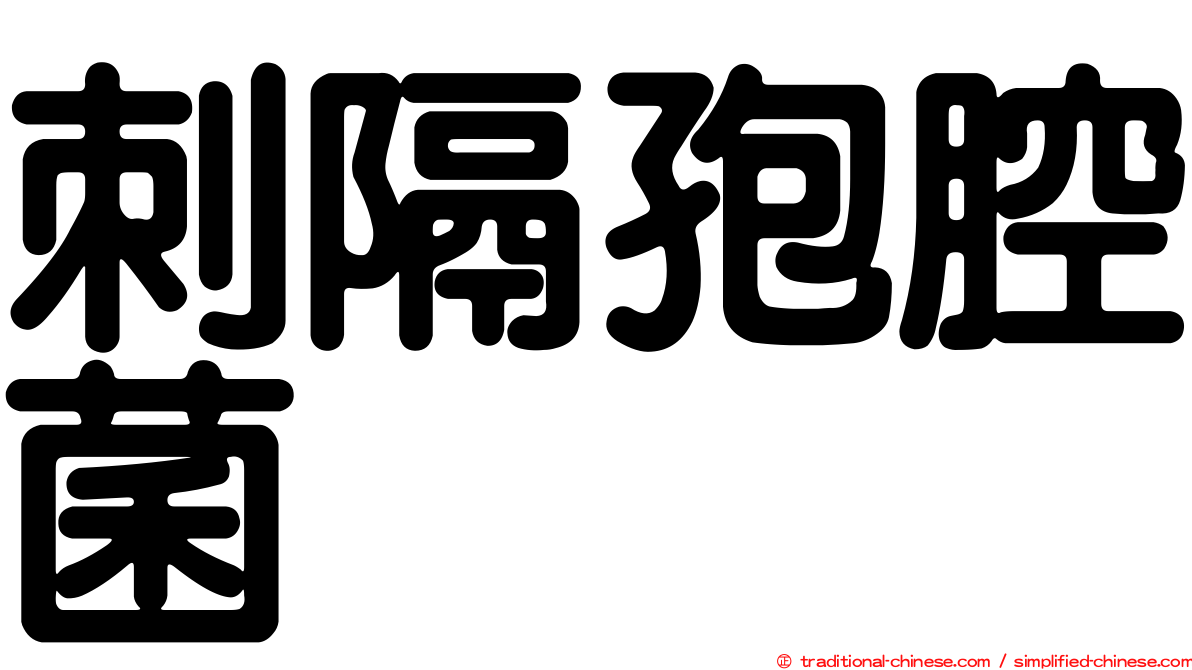 刺隔孢腔菌
