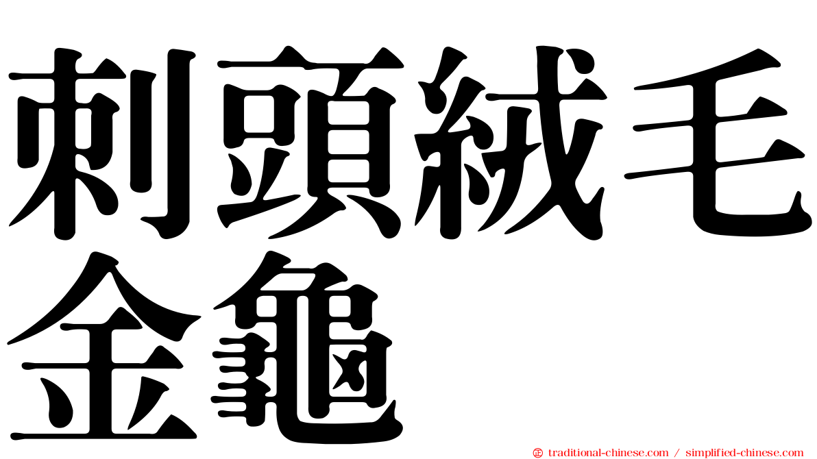 刺頭絨毛金龜