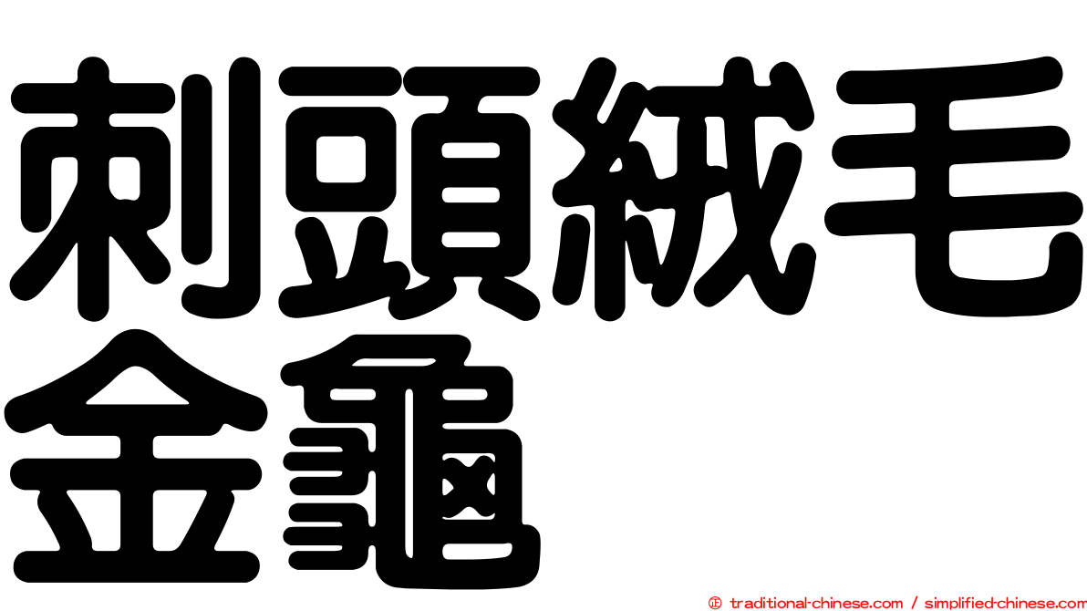 刺頭絨毛金龜